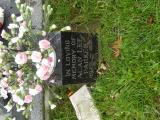 image of grave number 695173